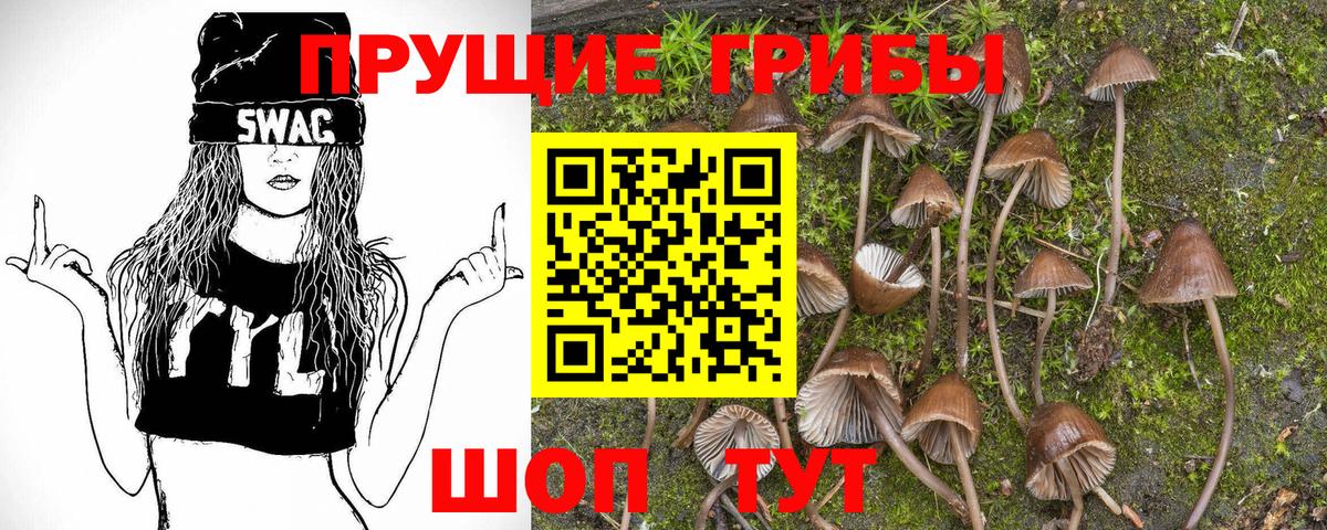 Галлюциногенные грибы мицелий Набережные Челны